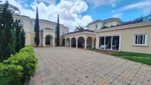 imagen de whatsapp 2025 09 24 a las 15.54.26 c01d8421