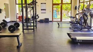 imagen de whatsapp 2025 09 24 a las 18.24.27 9f7e8343