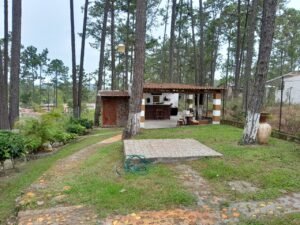 imagen de whatsapp 2025 09 26 a las 16.05.49 bd625dc8