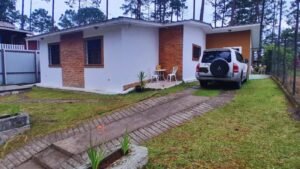 imagen de whatsapp 2025 09 26 a las 16.18.53 e36fdb5c