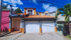 palmeras de san ignacio