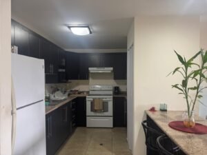 whatsapp image 2025 09 23 at 4.00.43 pm