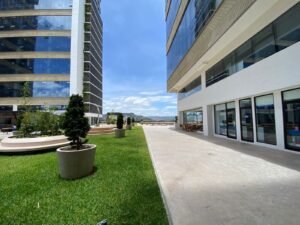 whatsapp image 2025 09 25 at 7.07.48 pm (1)