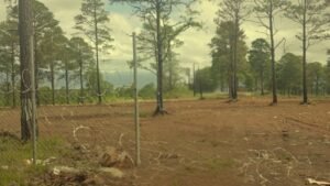 whatsapp image 2025 09 26 at 3.46.16 pm