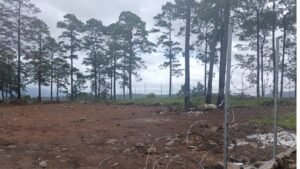 whatsapp image 2025 09 26 at 3.46.17 pm