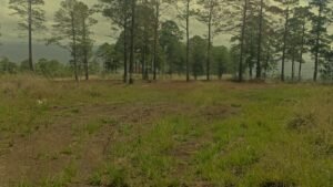 whatsapp image 2025 09 26 at 3.46.18 pm