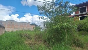 whatsapp image 2025 09 30 at 1.29.38 pm