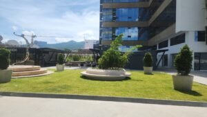 whatsapp image 2025 12 11 at 3.32.43 pm (1)