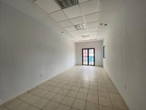 imagen de whatsapp 2025 10 09 a las 19.36.32 effb0623