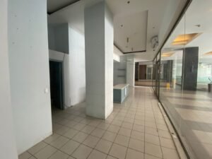 imagen de whatsapp 2025 10 17 a las 13.45.45 220945c6