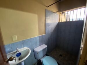 imagen de whatsapp 2025 11 17 a las 12.32.00 ba5c2359