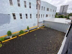 imagen de whatsapp 2025 11 17 a las 14.00.19 42ab31be