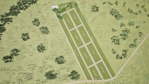 whatsapp image 2025 11 18 at 3.45.35 pm (2)