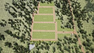 whatsapp image 2025 11 18 at 3.47.41 pm (1)