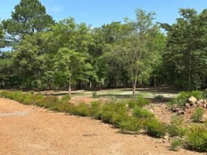 whatsapp image 2025 11 18 at 3.47.43 pm (2)