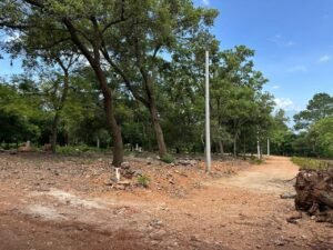 whatsapp image 2025 11 18 at 3.47.43 pm (4)