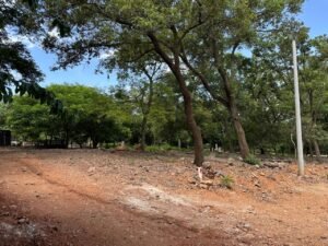 whatsapp image 2025 11 18 at 3.47.44 pm (3)