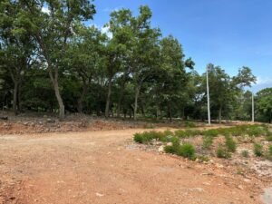 whatsapp image 2025 11 18 at 3.47.44 pm