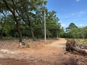 whatsapp image 2025 11 18 at 3.47.44 pm (5)