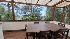 whatsapp image 2025 12 23 at 3.26.46 pm (1)