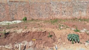 whatsapp image 2025 12 27 at 12.41.02 pm