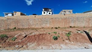 whatsapp image 2025 12 27 at 12.41.04 pm (1)