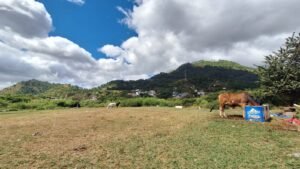 whatsapp image 2025 12 27 at 2.13.59 pm