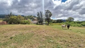 whatsapp image 2025 12 27 at 2.14.03 pm