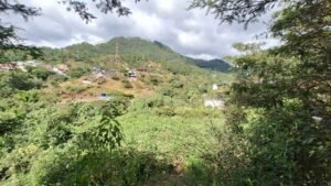 whatsapp image 2025 12 27 at 2.14.16 pm