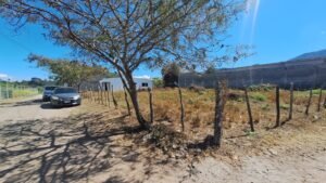 whatsapp image 2026 02 11 at 9.32.06 am