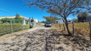 whatsapp image 2026 02 11 at 9.32.07 am