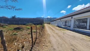 whatsapp image 2026 02 11 at 9.32.08 am (1)