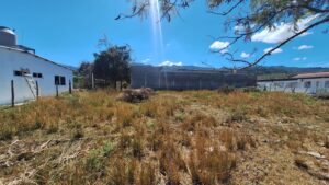 whatsapp image 2026 02 11 at 9.32.08 am (2)