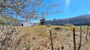 whatsapp image 2026 02 11 at 9.32.08 am