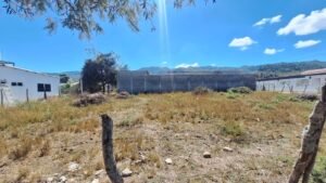 whatsapp image 2026 02 11 at 9.32.09 am (1)