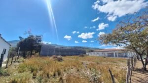 whatsapp image 2026 02 11 at 9.32.09 am